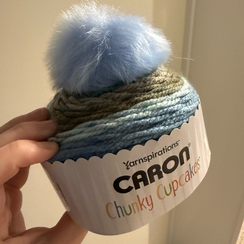 Caron Yarn 24-Piece Lot – Simply Soft, Cakes & Chunky Cupcakes | Bundle - Picture 6 of 9